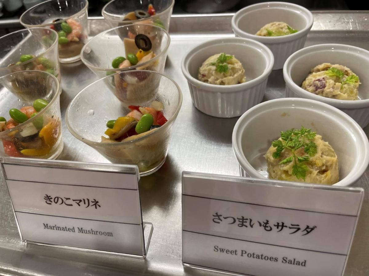 梅田东天然温泉多米酒店 酒店 大阪